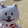 Cocco☆ちゃん