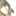 明日まま 明日まま