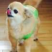 mikumaru♪