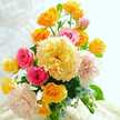 tm_Flower