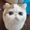 Tama～たま～