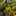 Rinco2421 Rinco2421