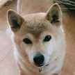 みつかん｡◕‿◕｡