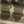 JKが料理してみた
