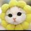 ♥ちぃちぃ♥