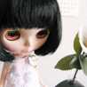 edie