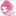 ボラごはん ボラごはん
