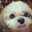 iam_chan