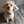 みずほちゃん