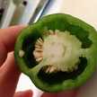 はるいり