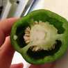 はるいり