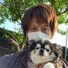 りくとにゃん太