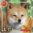 ・あこ・