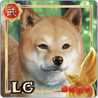 ・あこ・