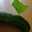 クックRTTMX2☆