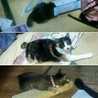 手足不自由でも出来る