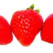 Fragaria１５