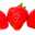 Fragaria１５