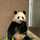 panda__pan panda__pan