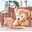 yume1029