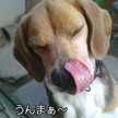 ぴかいちご