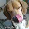 ぴかいちご