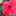 芋と南瓜 芋と南瓜