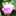 ぷーこ ぷーこ