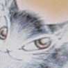 わち猫ダヤン