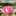 りんご華☆1219 りんご華☆1219