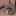 みかん猫