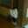恋ちゃんのオナカ