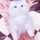 ゆっこ♪゛ ゆっこ♪゛