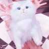ゆっこ♪゛