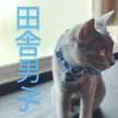 田舎男子