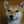 ｙｕｚｕｄｏｇ★