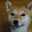 ｙｕｚｕｄｏｇ★