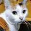 おたぬねこ
