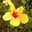 NAHOKU