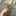 shiho869 shiho869