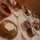 seed*cafe seed*cafe