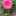 ゴンちゃん0903 ゴンちゃん0903