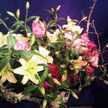 Pickel