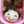 しゅんめいまま