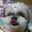 ろこずkitchen