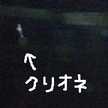 乙女修行中