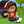 S_CASSAVA