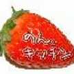 のん。