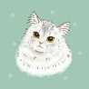 momi_tree＊
