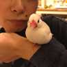 Bobbyママ